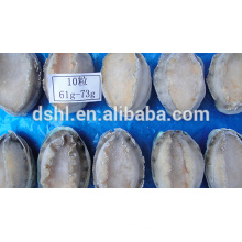 Frozen cooked abalone with shell